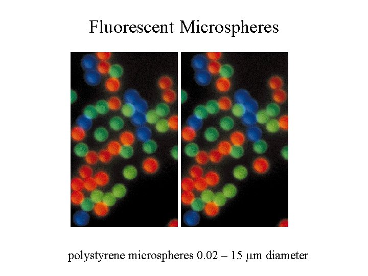 Fluorescent Microspheres polystyrene microspheres 0. 02 – 15 mm diameter Fluorescent Microspheres polystyrene microspheres 0. 02 – 15 mm diameter