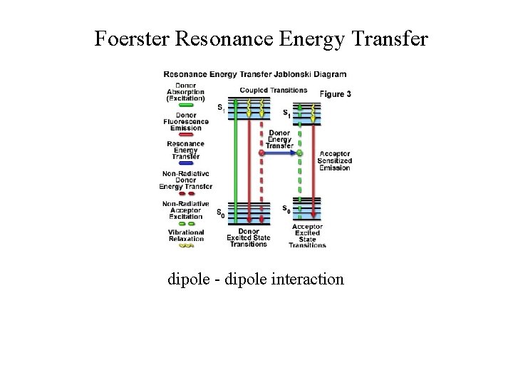 Foerster Resonance Energy Transfer dipole - dipole interaction Foerster Resonance Energy Transfer dipole - dipole interaction