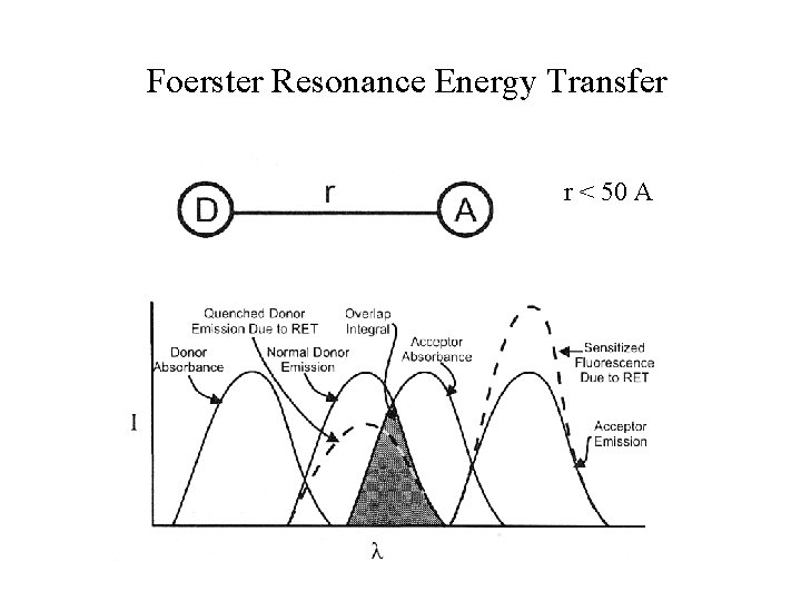 Foerster Resonance Energy Transfer r < 50 A Foerster Resonance Energy Transfer r < 50 A