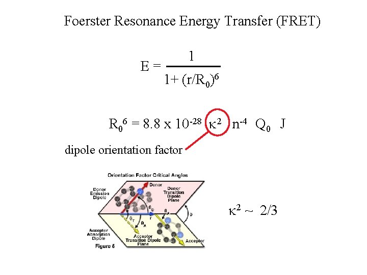 Foerster Resonance Energy Transfer (FRET) 1 E = 1+ (r/R 0)6 R 06 = Foerster Resonance Energy Transfer (FRET) 1 E = 1+ (r/R 0)6 R 06 =