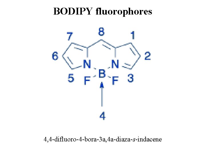 BODIPY fluorophores 4, 4 -difluoro-4 -bora-3 a, 4 a-diaza-s-indacene BODIPY fluorophores 4, 4 -difluoro-4 -bora-3 a, 4 a-diaza-s-indacene