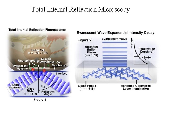 Total Internal Reflection Microscopy Total Internal Reflection Microscopy