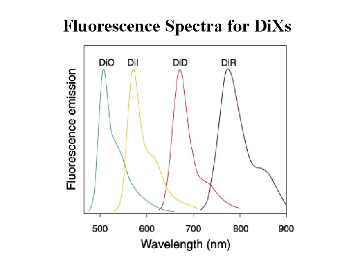 Fluorescence Spectra for Di. Xs Fluorescence Spectra for Di. Xs