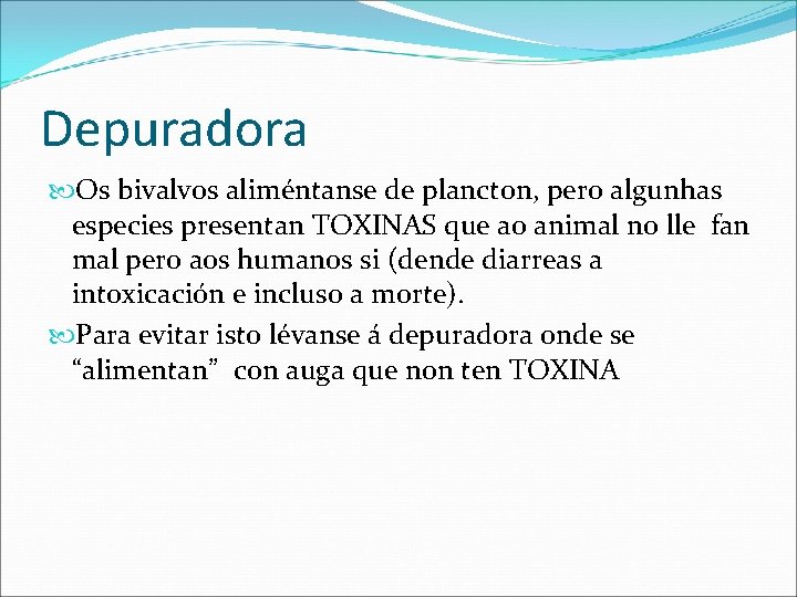 Depuradora Os bivalvos aliméntanse de plancton, pero algunhas especies presentan TOXINAS que ao animal