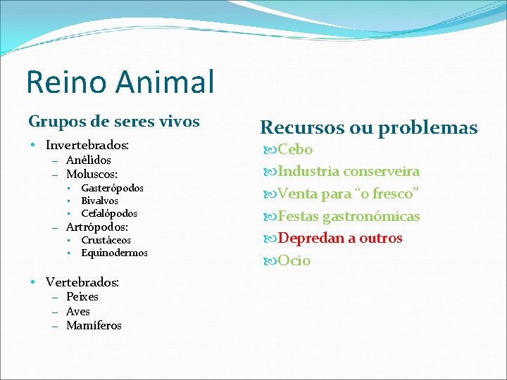 Reino Animal Grupos de seres vivos • Invertebrados: – Anélidos – Moluscos: • Gasterópodos