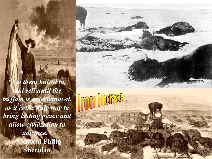 “Let them kill, skin, and sell until the buffalo is exterminated, as it is