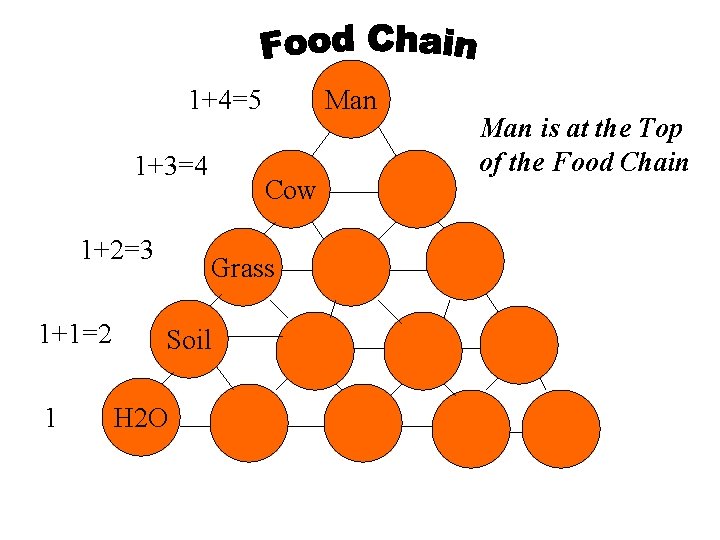 1+4=5 1+3=4 1+2=3 1+1=2 1 Man Cow Grass Soil H 2 O Man is