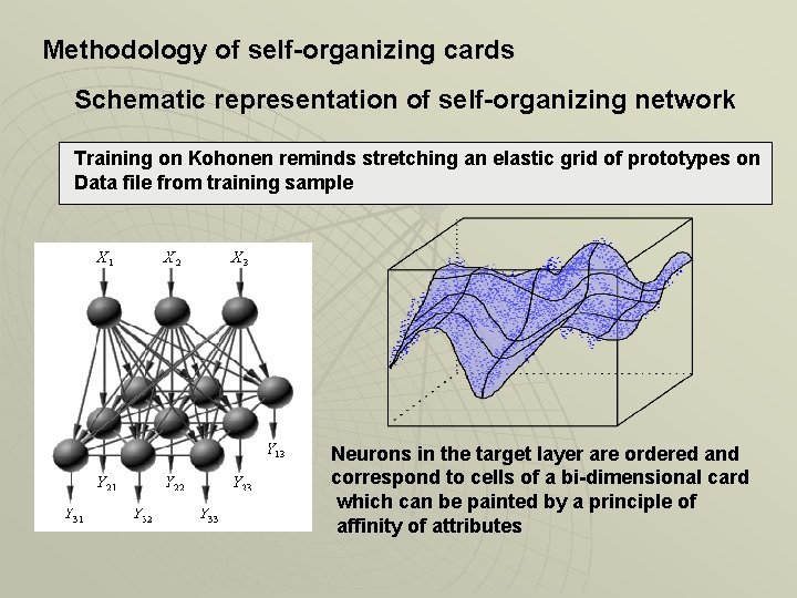 Methodology of self-organizing cards Schematic representation of self-organizing network Training on Kohonen reminds stretching