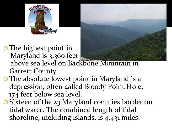  The highest point in Maryland is 3, 360 feet above sea level on