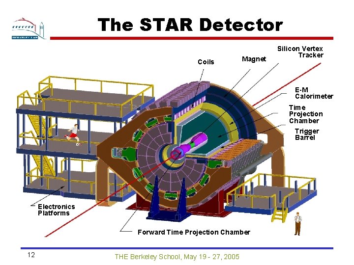 The STAR Detector Coils Magnet Silicon Vertex Tracker E-M Calorimeter Time Projection Chamber Trigger