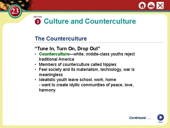 SECTION 3 Culture and Counterculture The Counterculture “Tune In, Turn On, Drop Out” •