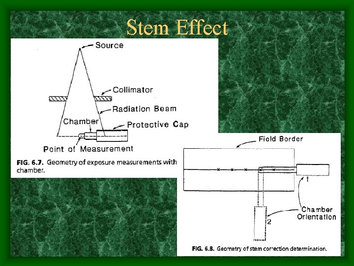 Stem Effect 