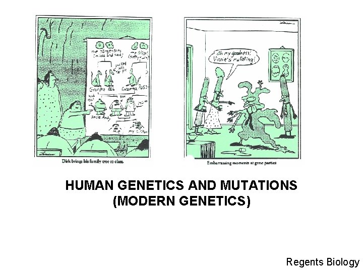 HUMAN GENETICS AND MUTATIONS (MODERN GENETICS) Regents Biology 