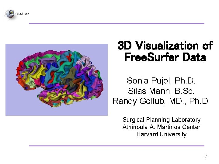 3 D Visualization of Free. Surfer Data Sonia Pujol, Ph. D. Silas Mann, B.