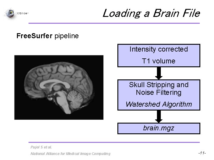 Loading a Brain File Free. Surfer pipeline Intensity corrected T 1 volume Skull Stripping