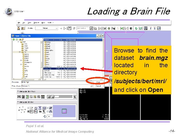 Loading a Brain File Browse to find the dataset brain. mgz located in the