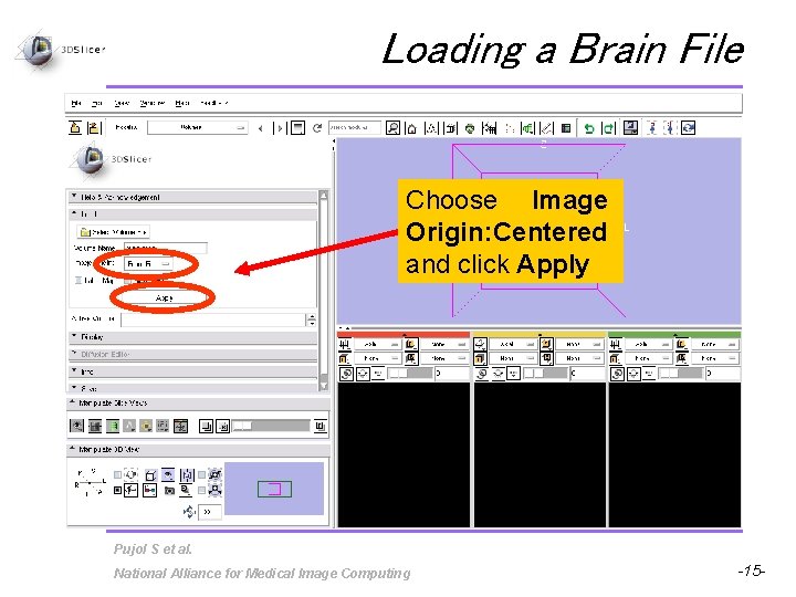 Loading a Brain File Choose Image Origin: Centered and click Apply Pujol S et