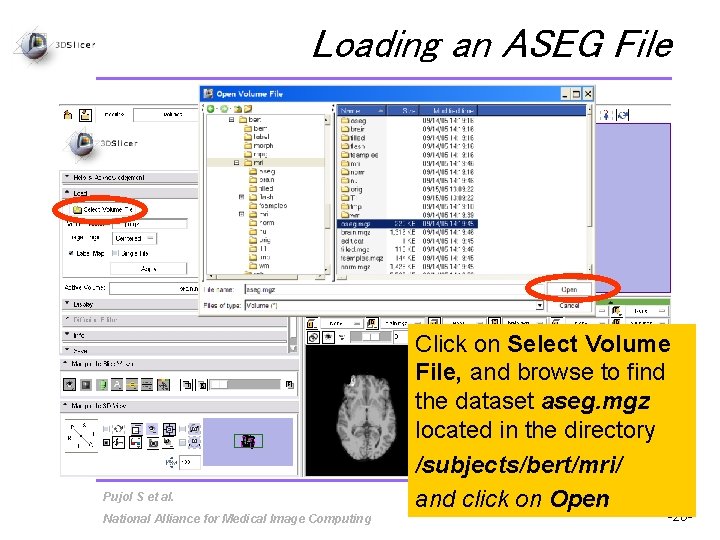 Loading an ASEG File Pujol S et al. National Alliance for Medical Image Computing