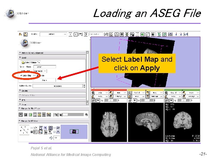 Loading an ASEG File Select Label Map and click on Apply Pujol S et