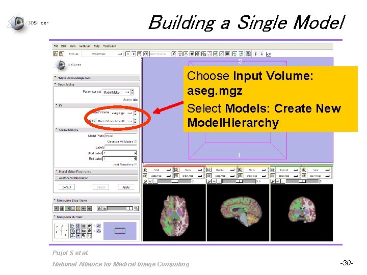 Building a Single Model Choose Input Volume: aseg. mgz Select Models: Create New Model.