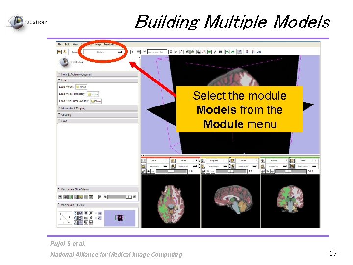 Building Multiple Models Select the module Models from the Module menu Pujol S et