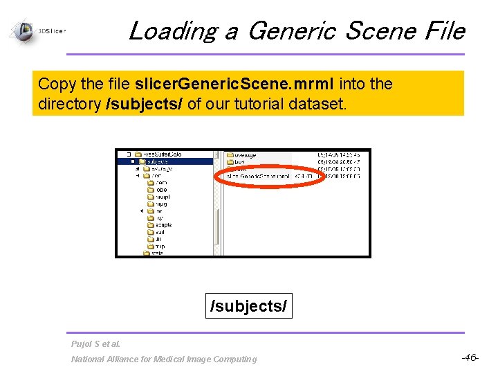 Loading a Generic Scene File Copy the file slicer. Generic. Scene. mrml into the