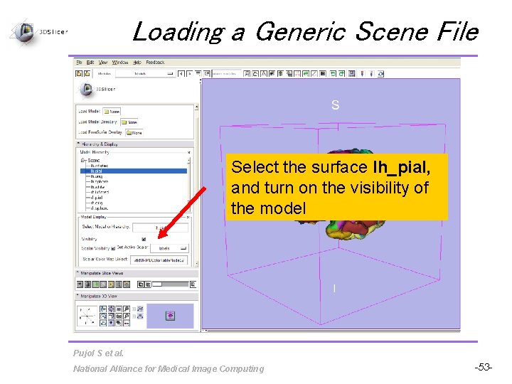 Loading a Generic Scene File Select the surface lh_pial, and turn on the visibility