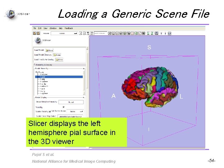 Loading a Generic Scene File Slicer displays the left hemisphere pial surface in the