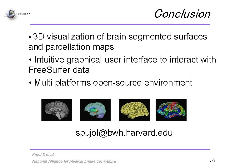 Conclusion • 3 D visualization of brain segmented surfaces and parcellation maps • Intuitive