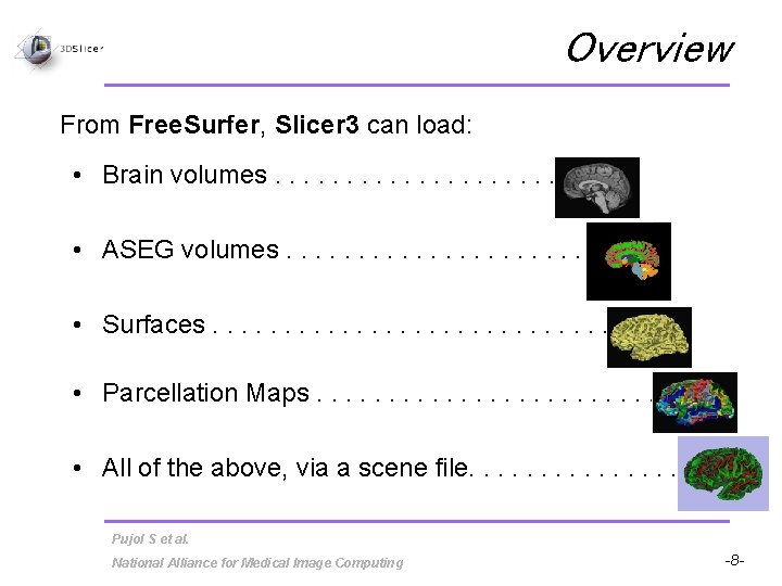Overview From Free. Surfer, Slicer 3 can load: • Brain volumes. . . •