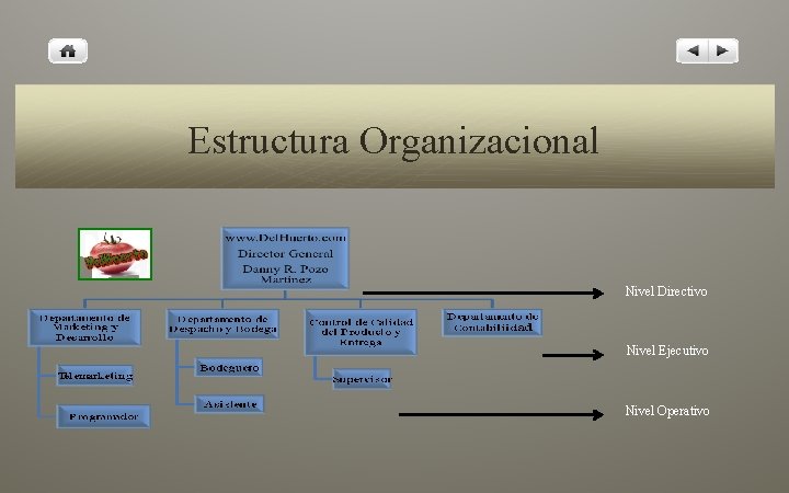 Estructura Organizacional Nivel Directivo Nivel Ejecutivo Nivel Operativo 