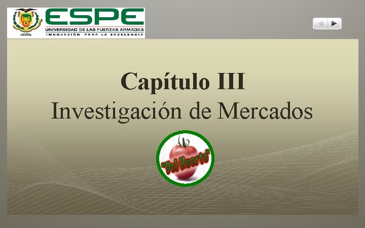 Capítulo III Investigación de Mercados 