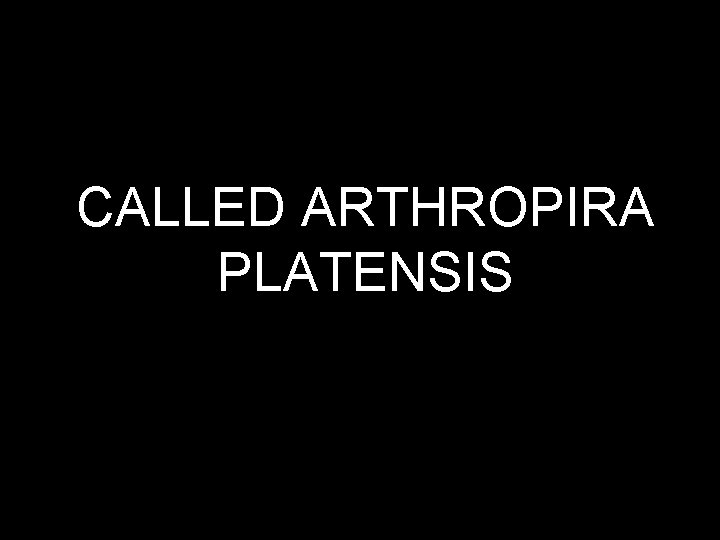 CALLED ARTHROPIRA PLATENSIS 