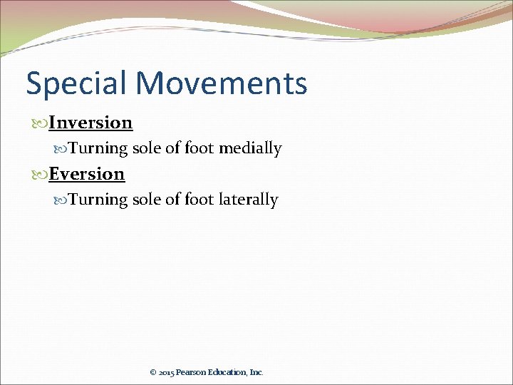 Special Movements Inversion Turning sole of foot medially Eversion Turning sole of foot laterally