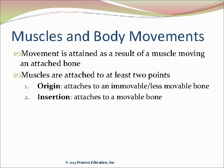 Muscles and Body Movements Movement is attained as a result of a muscle moving