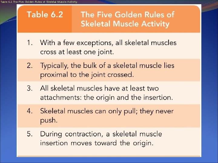 Table 6. 2 The Five Golden Rules of Skeletal Muscle Activity. 