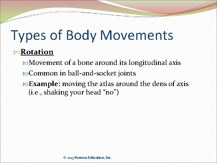 Types of Body Movements Rotation Movement of a bone around its longitudinal axis Common