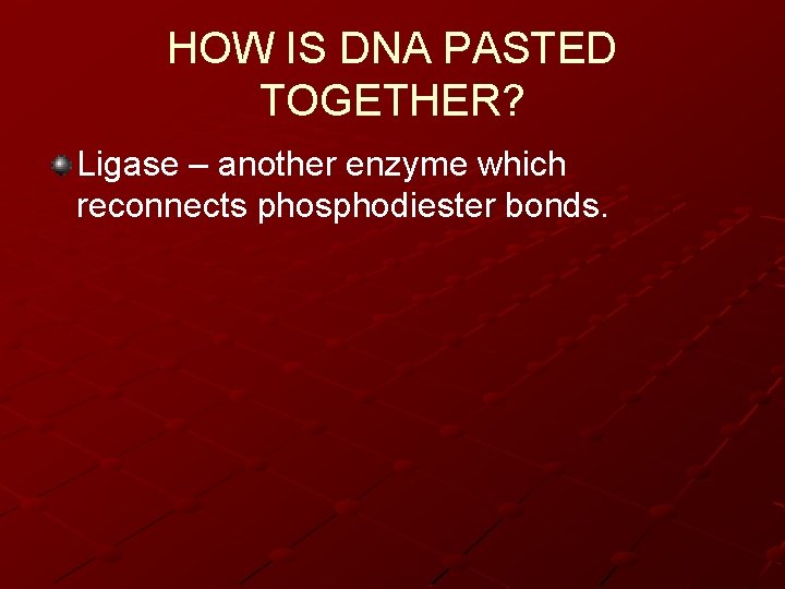 HOW IS DNA PASTED TOGETHER? Ligase – another enzyme which reconnects phosphodiester bonds. 