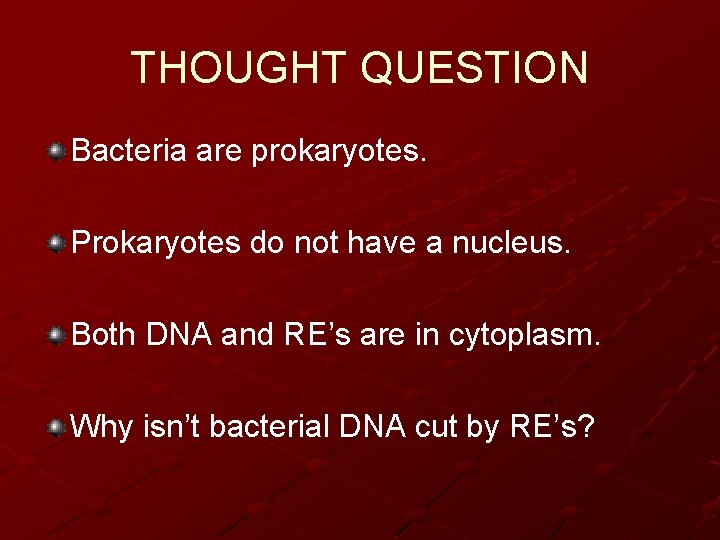 THOUGHT QUESTION Bacteria are prokaryotes. Prokaryotes do not have a nucleus. Both DNA and