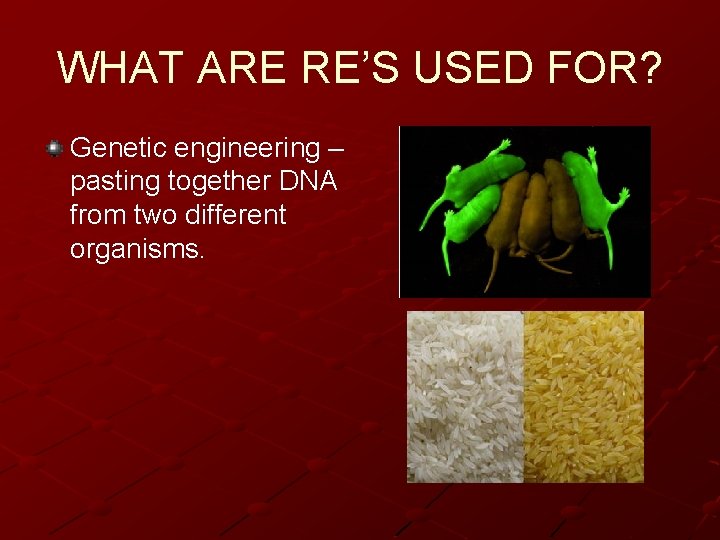 WHAT ARE RE’S USED FOR? Genetic engineering – pasting together DNA from two different