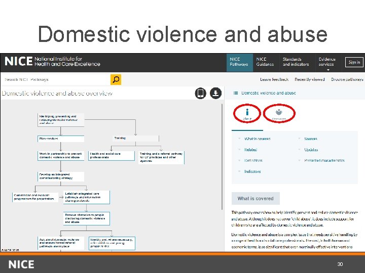 Domestic violence and abuse 30 