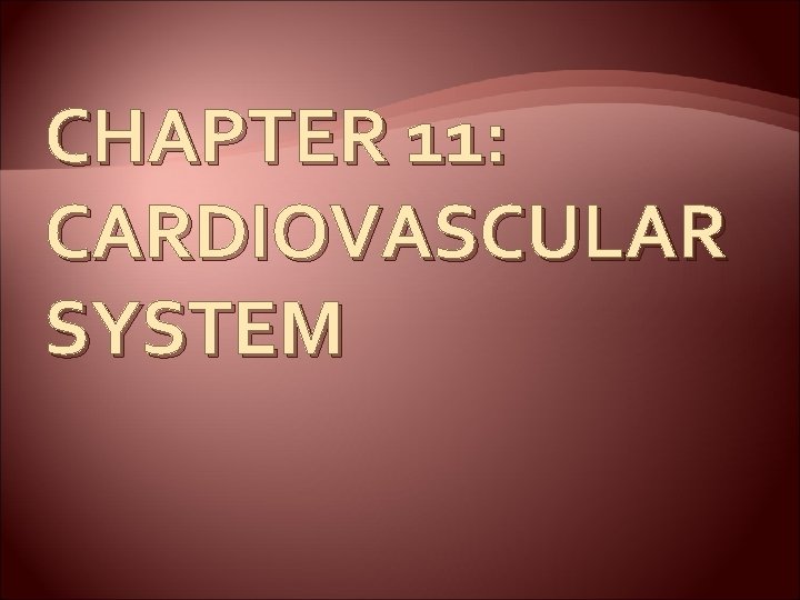 CHAPTER 11: CARDIOVASCULAR SYSTEM 