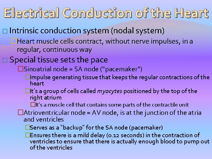 Electrical Conduction of the Heart � Intrinsic conduction system (nodal system) �Heart muscle cells