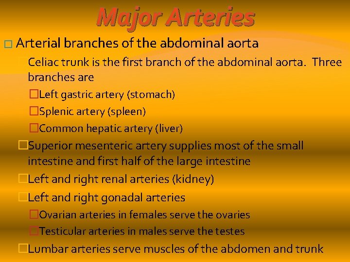 Major Arteries � Arterial branches of the abdominal aorta �Celiac trunk is the first