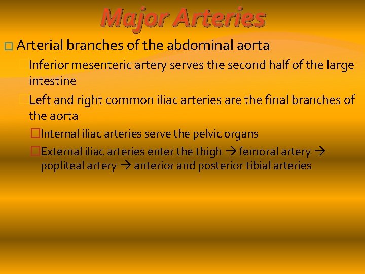 Major Arteries � Arterial branches of the abdominal aorta �Inferior mesenteric artery serves the