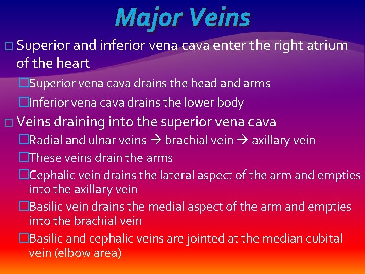 Major Veins � Superior and inferior vena cava enter the right atrium of the