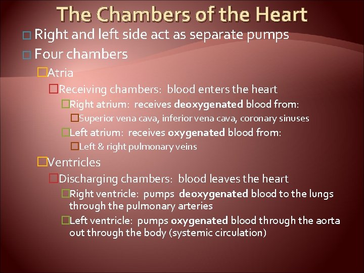 The Chambers of the Heart � Right and left side act as separate pumps