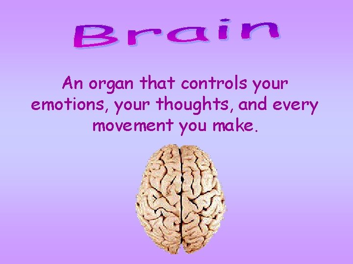 An organ that controls your emotions, your thoughts, and every movement you make. An organ that controls your emotions, your thoughts, and every movement you make.
