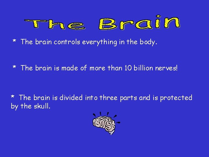 * The brain controls everything in the body. * The brain is made of * The brain controls everything in the body. * The brain is made of