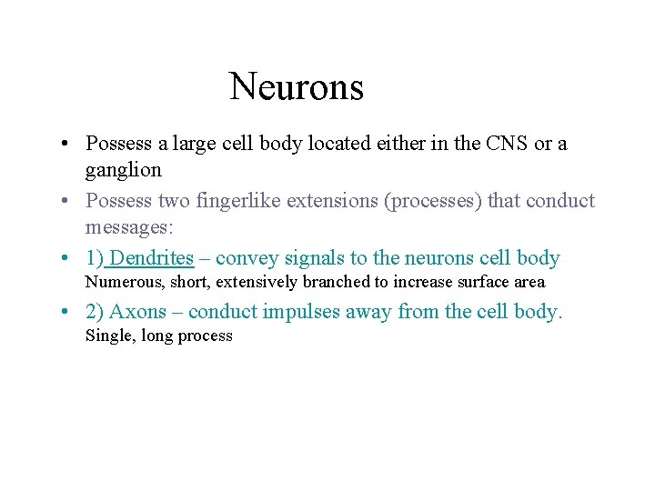 Neurons • Possess a large cell body located either in the CNS or a Neurons • Possess a large cell body located either in the CNS or a